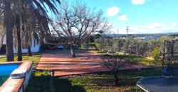 Beautiful Country Estate in Enguera