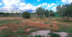 Sustainable Luxury in Denia’s Hinterland