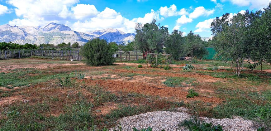 Sustainable Luxury in Denia’s Hinterland